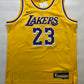 Los Angeles Lakers #23 LeBron James Nike NBA Icon Jersey - Youth Medium