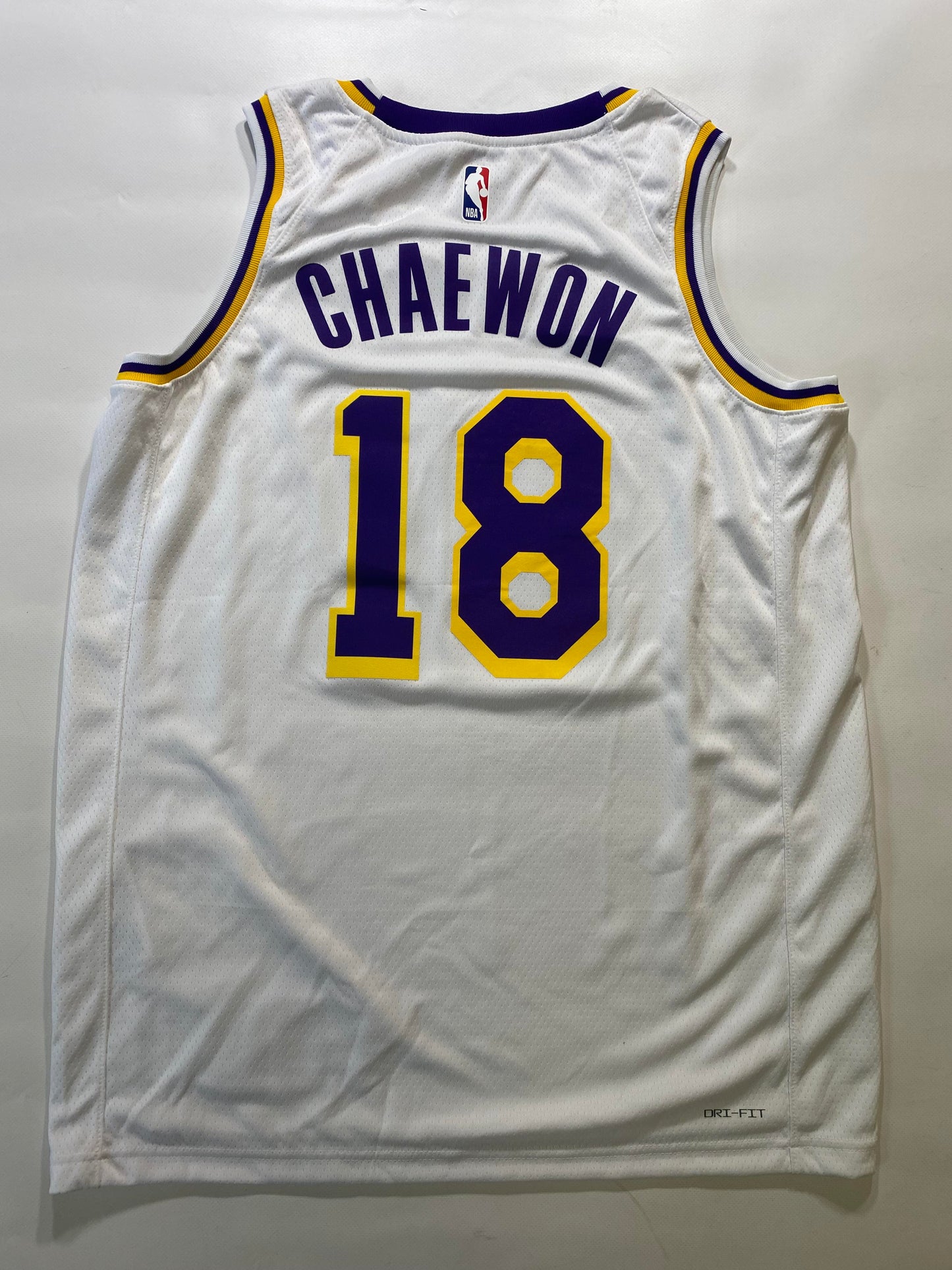 Los Angeles Lakers #18 Chaewon Nike NBA Association Jersey - Mens Large