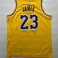 Los Angeles Lakers #23 LeBron James Nike NBA Icon Jersey - Youth Medium