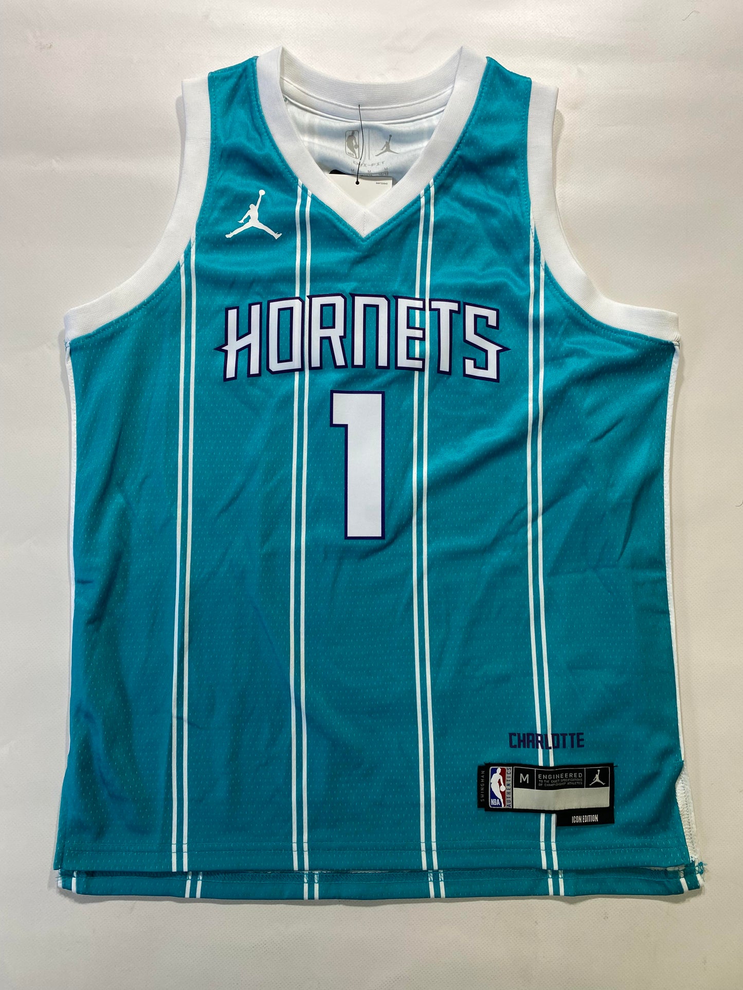 Charlotte Hornets #1 Muggsy Bogues Nike Icon NBA Jersey - Youth Medium