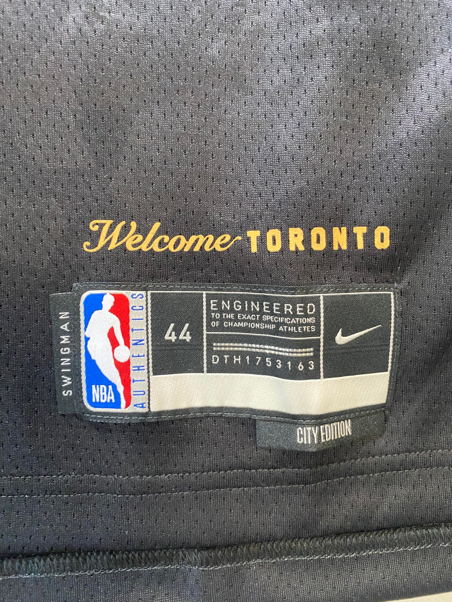 Toronto Raptors Nike City NBA Jersey - Mens Medium