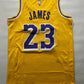 Los Angeles Lakers #23 LeBron James Nike NBA Icon Jersey - Mens Small