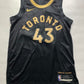 Toronto Raptors #43 Pascal Siakam Nike NBA City Jersey - Mens Medium - American Sports Jerseys