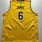 Los Angeles Lakers #6 LeBron James Nike NBA Icon Jersey - Youth XL - American Sports Jerseys