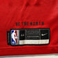 Toronto Raptors #17 Dennis Schroder Nike NBA Icon Jersey - Mens Medium