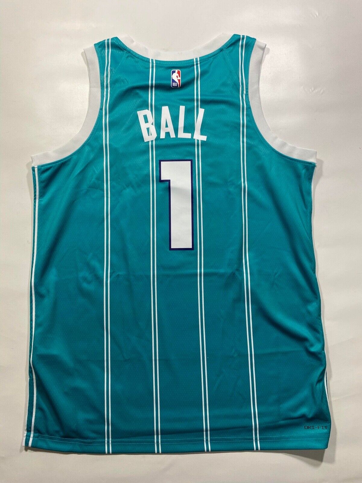 Charlotte Hornets LaMelo Ball #1 Nike Icon NBA Jersey - Men's Large