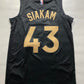 Toronto Raptors Pascal Siakam #43 Nike City NBA Jersey - Men's Medium