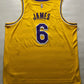 Los Angeles Lakers #6 LeBron James Nike NBA Icon Jersey - Mens XXL