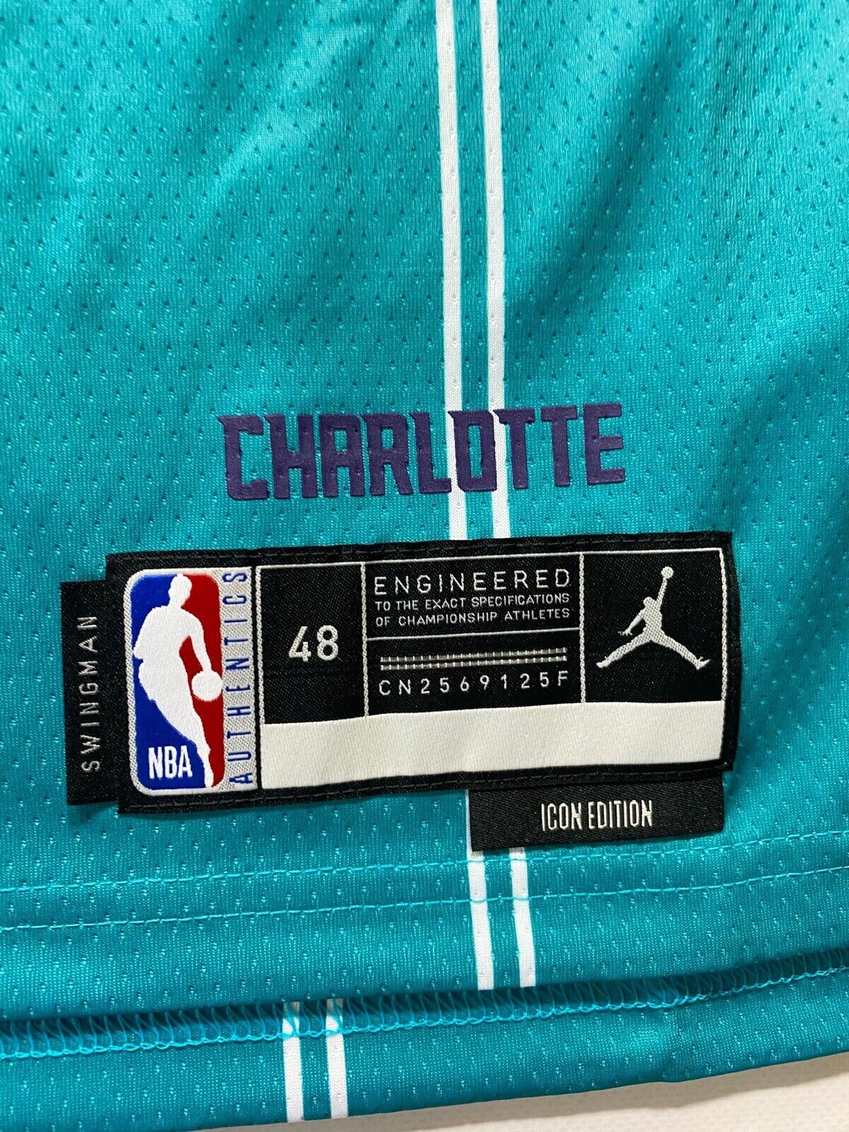 Charlotte Hornets #24 Brandon Miller Nike NBA Icon Jersey - Mens Large